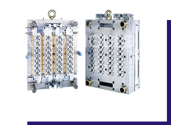 ishla mould